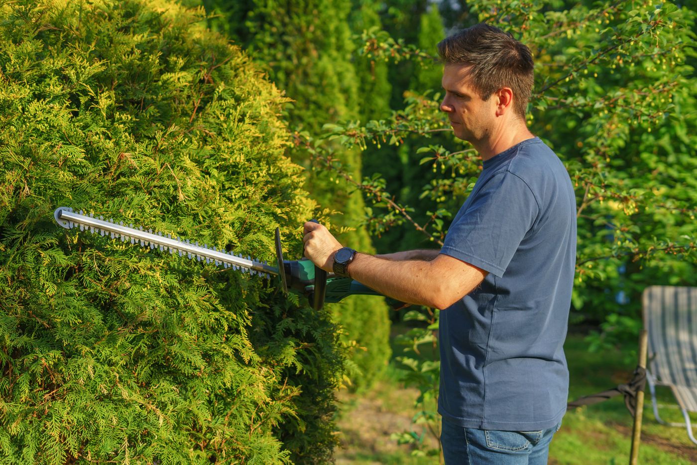 Trimming a hedge with a power trimmer